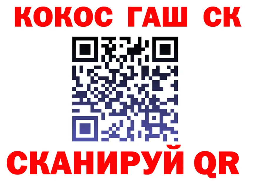 А ПВП крисы CK ONION shop MEGA Бабушкин